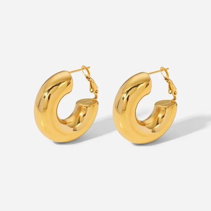 Carlex Earrings