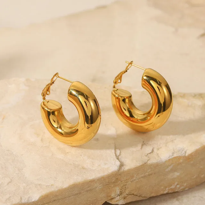 Carlex Earrings